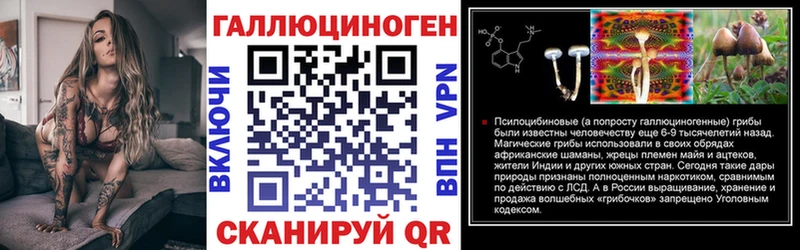 KRAKEN зеркало  как найти закладки  Красногорск  Галлюциногенные грибы Magic Shrooms 